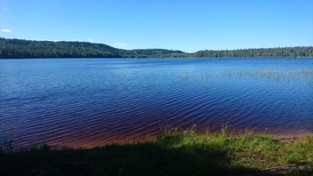 Loma-Laattaja Villa Hyrynsalmi Kültér fotó